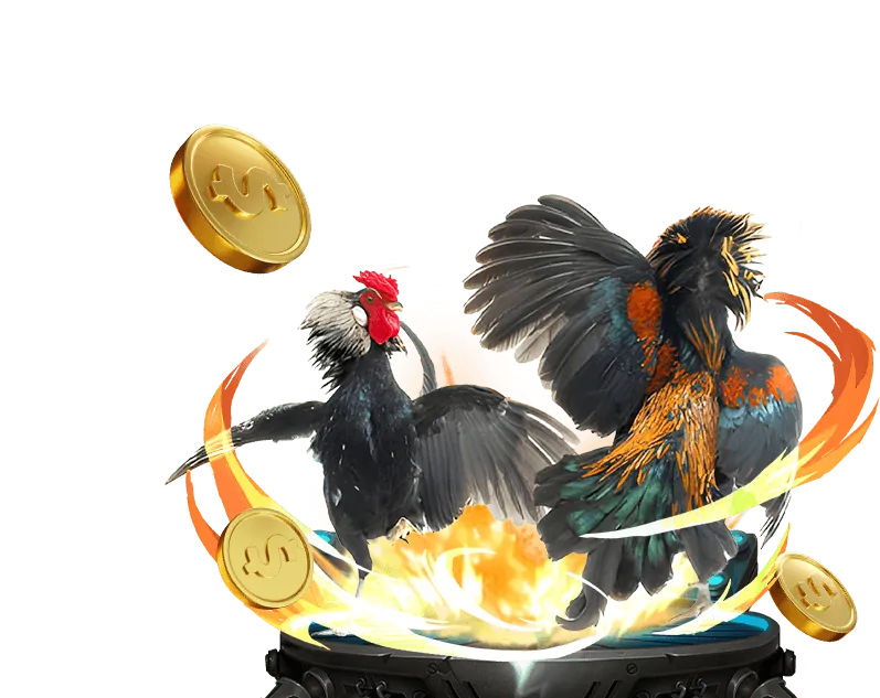 Cá cược Thể thao tại 33 win