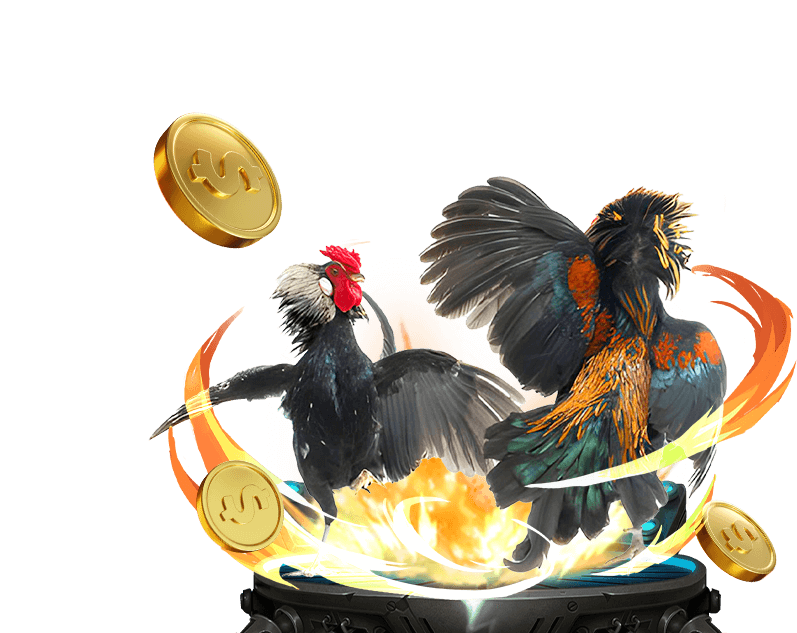 Đá gà trực tiếp tại 33 win